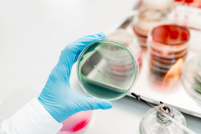 Nabídka pracovní pozice - laborant/laborantka