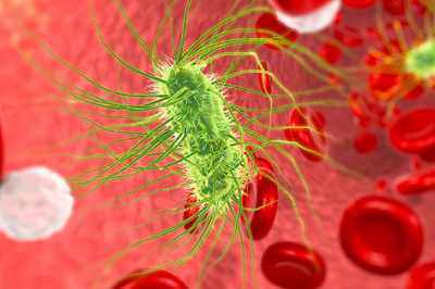 Monitoring E. coli - STEC 