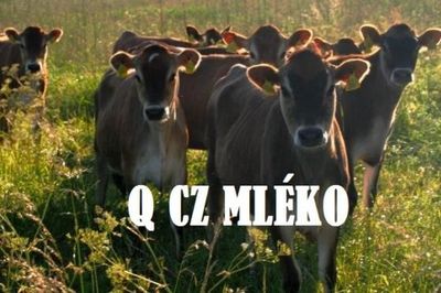 Dotační program Q CZ Mléko