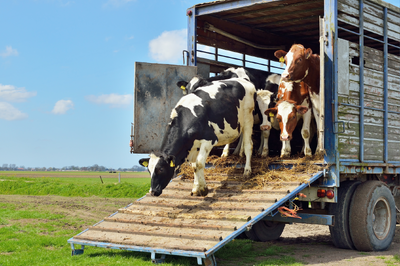 Kurz přepravců - nový termín