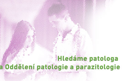 Hledáme patologa na Oddělení patologie a parazitologie