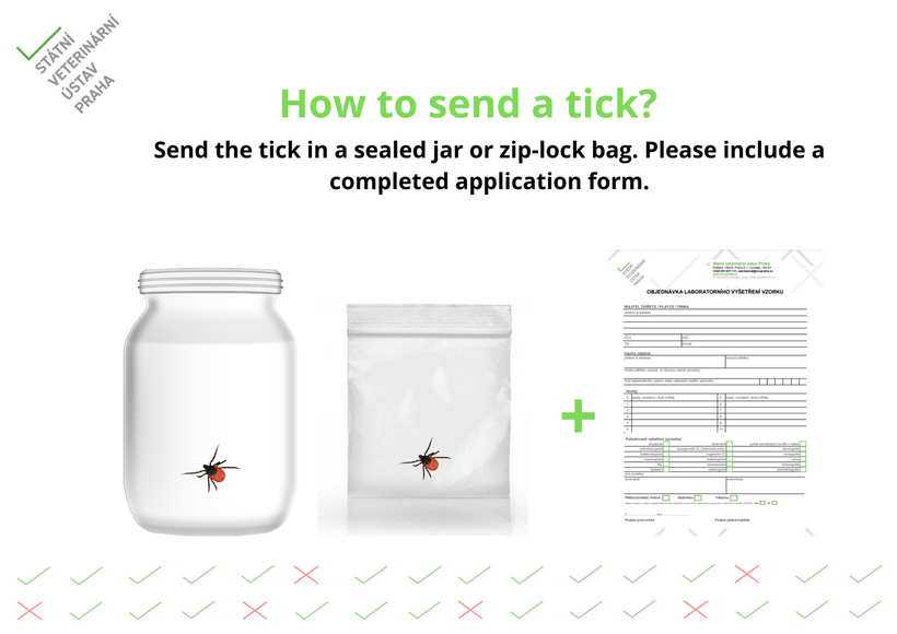 Special offer for tick testing - State veterinary institute prague
